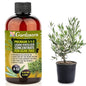 Premium Liquid Olive Tree Plant Fertilizer - 3-1-2 Concentrate for Indoor Plants and Flowers by Gardenera | Organic Plant Food for Olive Trees - 8oz