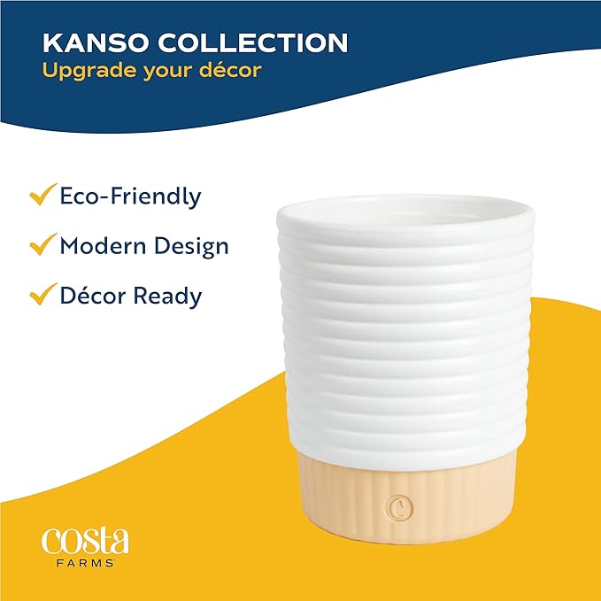 Costa Farms Golden Pothos Live Plant in Decorative Pot, Easy to Maintain, Air Purifying Indoor Houseplant, Home, Room, or Office Decor, Great House Warming or Birthday Gift, 12-14 Inches