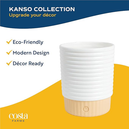 Costa Farms Golden Pothos Live Plant in Decorative Pot, Easy to Maintain, Air Purifying Indoor Houseplant, Home, Room, or Office Decor, Great House Warming or Birthday Gift, 12-14 Inches