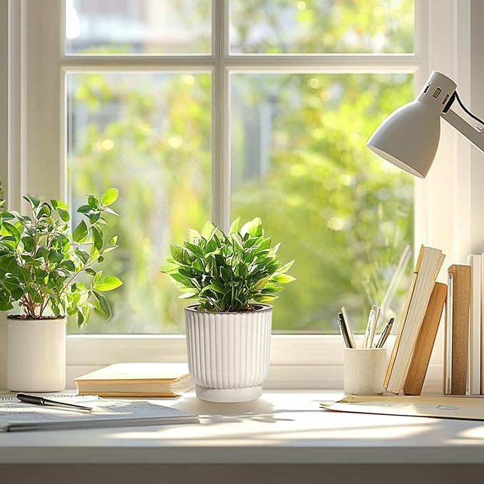 T4U 4.5 Inch Plant Pots Self Watering, 6 Pack African Violet Pots, Small Plant Pots for Plants, Small Indoor Plant Pot, Self Watering Planter for African Violet, Succulents (6 Pack 4.5" Pots, White)