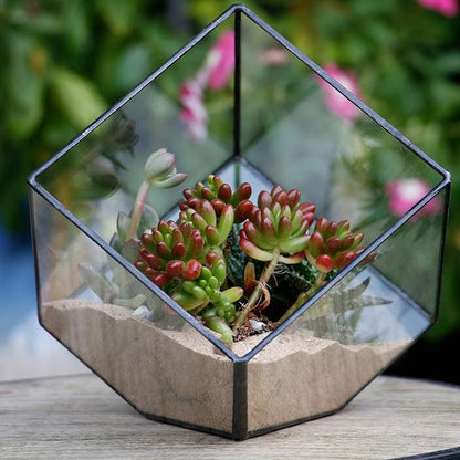 ELEGANTLIFE Glass Geometric Plant Terrarium Container, Flower Pot Tabletop Planter Decor Glass Display Box Succulent & Air Planter for Home Garden Office Decoration(Black Cubic Set of 2)