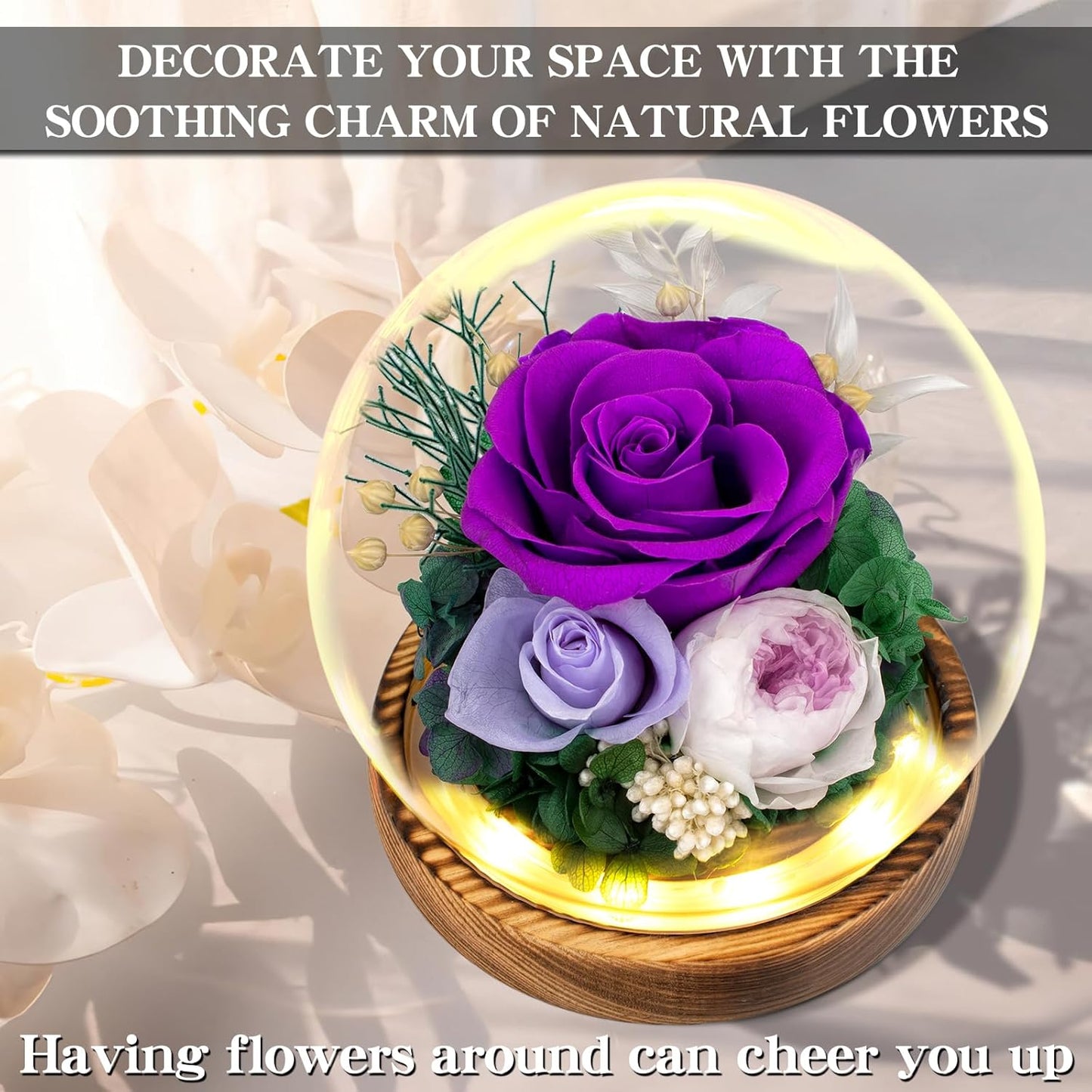 Flowers, Roses Gift – Fresh & Preserved Roses That Last Forever – Delivery to Show Love – Ideal Birthday Gift for Women, Unique for Mother’s Day & Christmas – Long-Lasting Forever Flowers