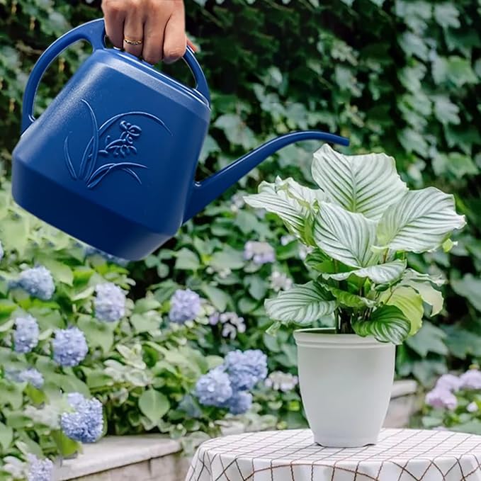 Plant Watering Can - 1 Gallon - Blue - with Long Spout for Indoor and Outdoor Home Plant Garden
