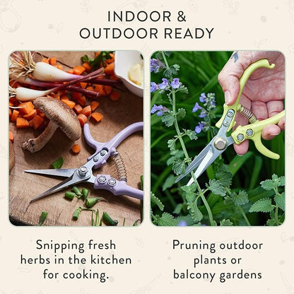 Modern Sprout Pruning Shears - Herb Snipping Scissors- Lightweight Gardening Tools W/Easy Lock - Flower Cutter Garden Shears - Carbon Steel Blade + Reusable Holster (Sage, 1-Pack)