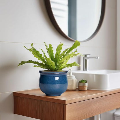 African Violet Pots, 6 Inch Ceramic Easy Self Watering Pots for Indoor Plant, Round Self Watering Planter with Absorbent Inner Pot, Ceramic Flower Pot, Room Decor, Plant Lover Gift, Retro Blue