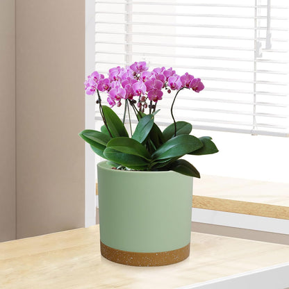 5 Pack Cylindrical Flower Pots with 7/6.5/6/5/4 inch, Modern Small Plastic Plant Pots with Drainage Holes & Saucers, Round Planter Pots for Outdoor, Indoor & Office Decor (Green Brown)