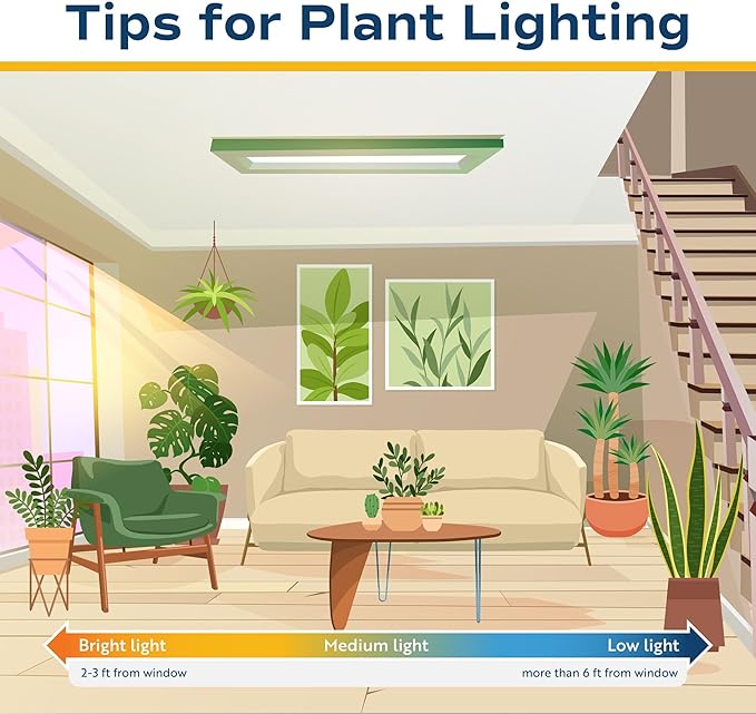 Costa Farms Silver Streak Pothos Live Plant in Self Watering Pot, Air Purifying Indoor Houseplant, Perfect for Home, Room, or Office Decor, Great House Warming or Birthday Gift, 10-16 Inches Tall