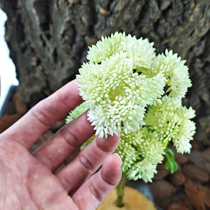 Woyrise Reptile Plants Succulent, Artificial Desert Plant for Terrarium Decor, Bearded Dragon Tank Accessories fit Gecko Lizard Chameleon Ball Python Snake - White Hylotelephium