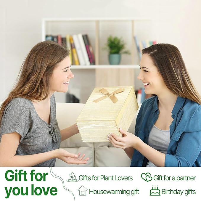 Heart Plant Terrarium Kit Gift for Women Plant Lover Glass Vases