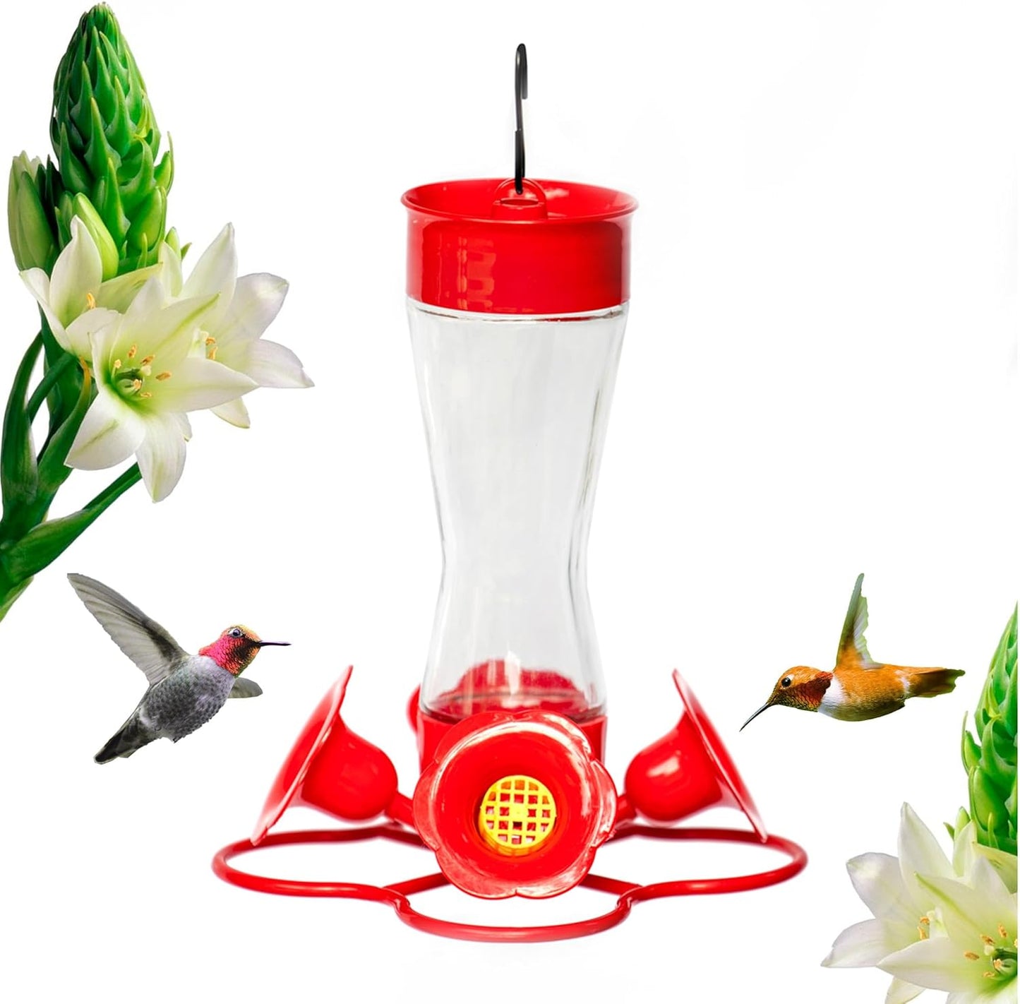 Nature's Rhythm Bird Feeder 4 bee Guard Plastic Feeding Port 8oz Glass Pinch Waist Hummingbird Feeder,1pcs