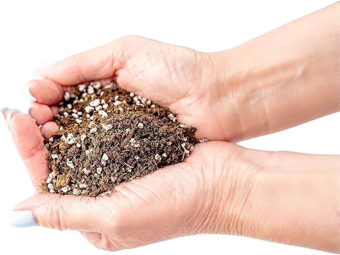 GARDENERA Premium Jade Plant Potting Soil Mix - (3 Quart Bag)