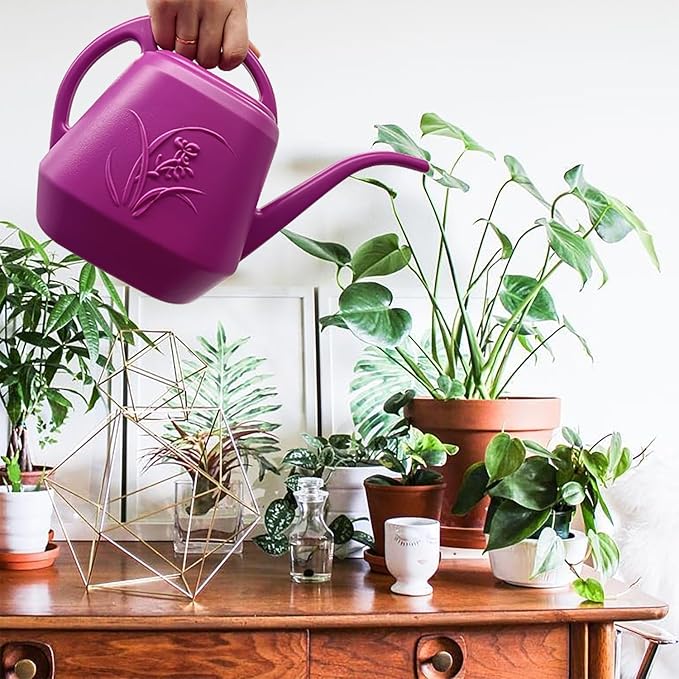 Plant Watering Can - 1 Gallon - Rose Red - with Long Spout for Indoor and Outdoor Home Plant Garden