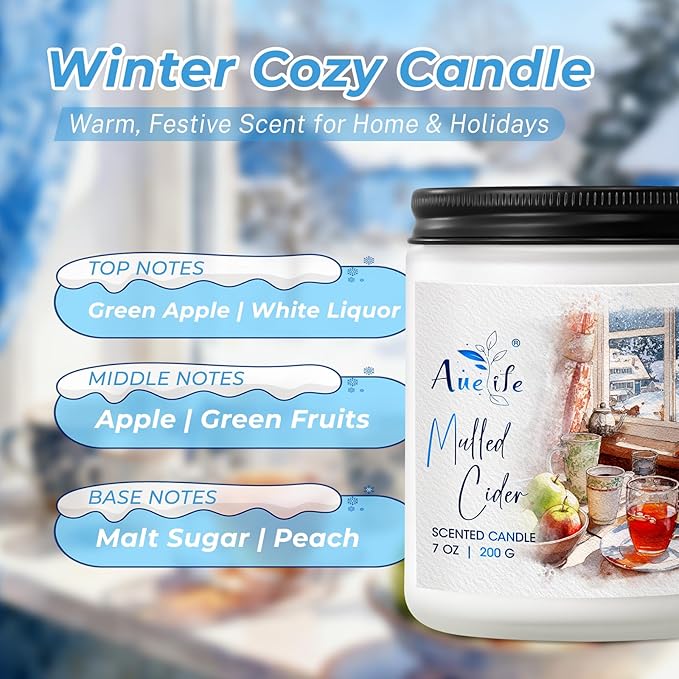 Mulled Cider Candle - Holiday Scented Candle for Home - Winter Christmas Gifts