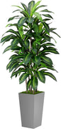Artificial Dracaena Plant Indoor 5FT - Fake Tree with Gray Tall Planter - Faux Yucca Tree Tall Fake Floor Plant in Pot - Artificial Trees for Home Office Indoor