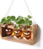 Plant Terrarium Propagation Stations Hydroponics Home Garden Decoration Gift for Women with Wooden Stand Heart Shaped Colored Glass Vase