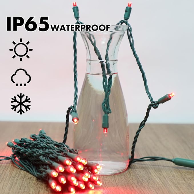 LAMPHOME 100Count (2pk of 50L) String Lights, LED Christmas Lights, 6" SPACING,Green Wire,RED