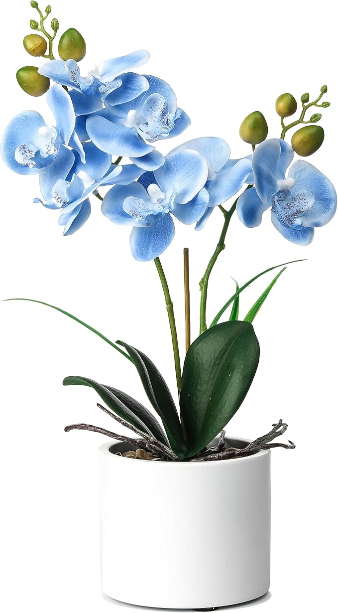 Jusdreen Artificial Blue Orchid in Ceramic Pot, Realistic Phalaenopsis Arrangement with Potting for Home Office Table Decor, 14.5 Inch Flower Centerpiece