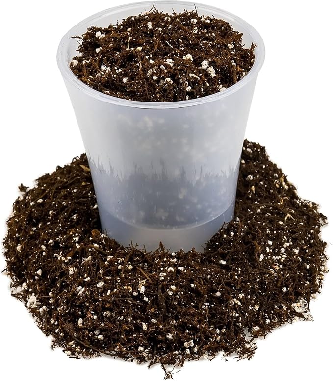 Gardenera Fern + Perlite Soil Mix for Repotting and Planting Succulents and Cactuses - 5 Quart Bag
