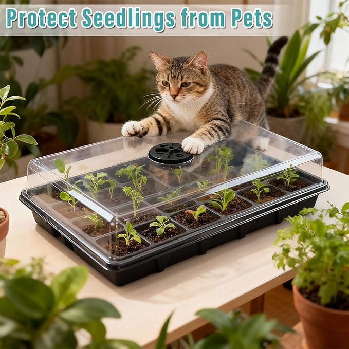 10-Pack XL Seed Starter Tray with Dome – 24 Large 2" Cells per Seedling Starter Trays (Total 240 Cells), Seed Growing Tray with Humidity Lids for Greenhouse Home Plant Propagation