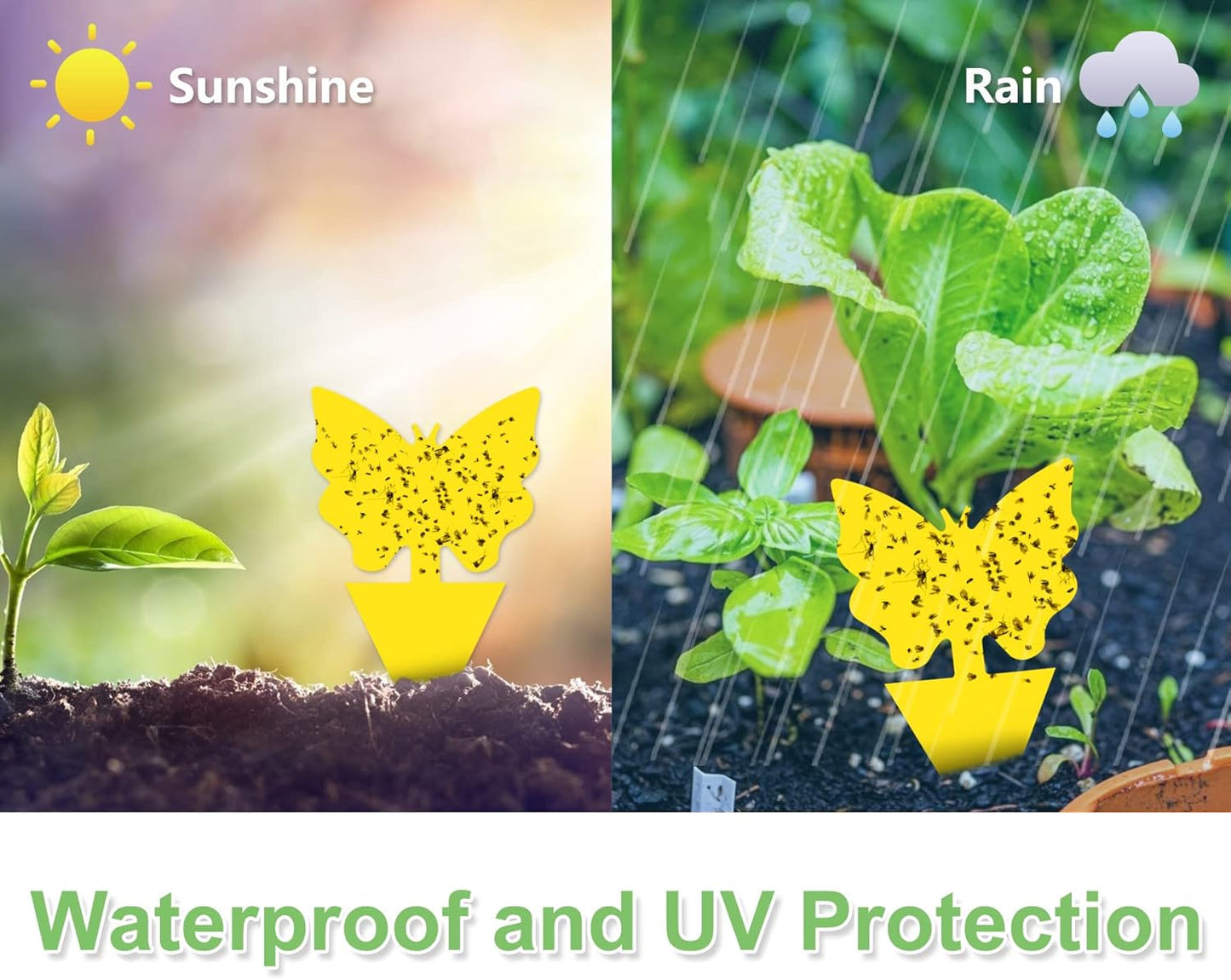 120 Pack Fruit Fly Trap for Indoors, Fungus Gnat Killer Indoor Sticky Traps for Mosquito and Flying Insects, Bug Pest Insect Catcher Killer for Houseplant Non-Toxic