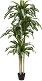 Artificial Dracaena Tree 6FT Tall Fake Tree - Faux Indoor Plant with UV Resistant Potted Design - Realistic Large Artificial Plants for Home Living Room Office Decor Indoor