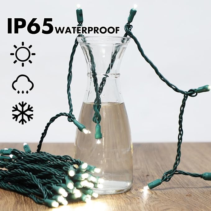 LAMPHOME 100Count (2pk of 50L) String Lights, LED Christmas Lights, 6" SPACING,Green Wire,White