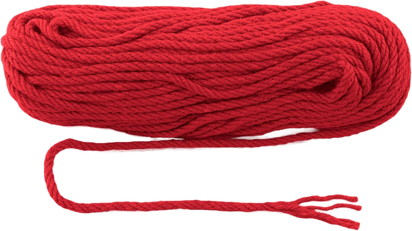 6mm x 200 Feet Red Jute Rope, Twine for Gardening Tomato Climbing Plant Tie Floristry Crafts Gift Wrapping Packing Decor