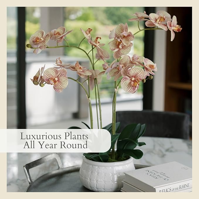 CG Hunter Faux Orange Orchid Plant, Premium Artificial Indoor Flower Display Stands 23”, Beautiful Sculptural Blooms That Lasts Forever, White Planter Pot Included