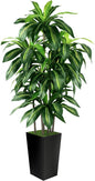 Artificial Dracaena Tree Indoor, 5FT Tall Fake Tree with Black Tall Planter, Artificial Trees Fake Yucca Potted Tree for Home Office Living Room Decor, Tall Artificial Plant for Housewarming