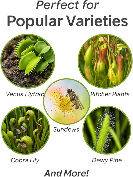 Gardenera Sphagnum Moss Potting Mix for Carnivorous Plants, Moss and Perlite Blend for Potting Venus Fly Traps, Sarracenia, Pitcher Plants - 75% Sphagnum Moss + 25% Perlite - Made in USA - 2 Quart