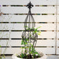 Obelisk Metal Garden Trellis for Climbing Plants - 29.5 in by 6.3 in Durable Iron Structure, Easy Assembly, Perfect for Potted Vines & Roses - Modern Vertical Gardening Support