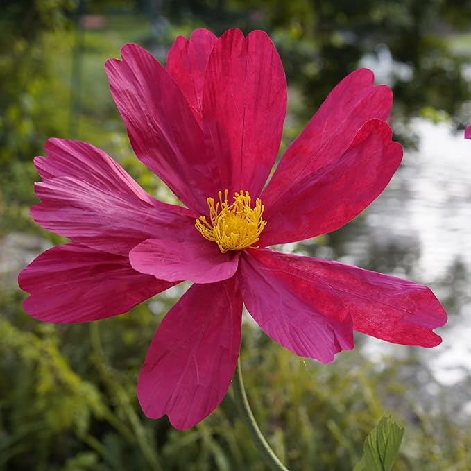 Artificial Giant Flowers for Decoration,Large Paper Daisies Flowers with Stems and Stands Base,Big Flower Decor for Wedding Birthday Party Garden, Party Banquet Background Decor (red)