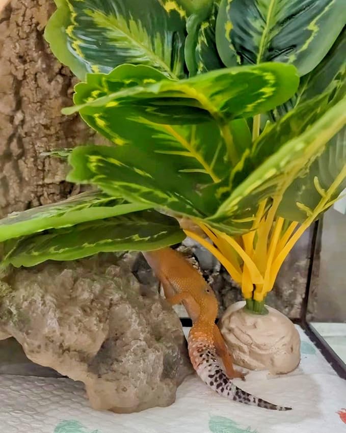 Reptile Decor Plants,Amphibian Habitat Decor,Artificial Plants for Bearded DragonTank Accessories Suitable for Leopard Gecko Lizard Chameleon Snake Tortoise (Calathea makoyana -A)