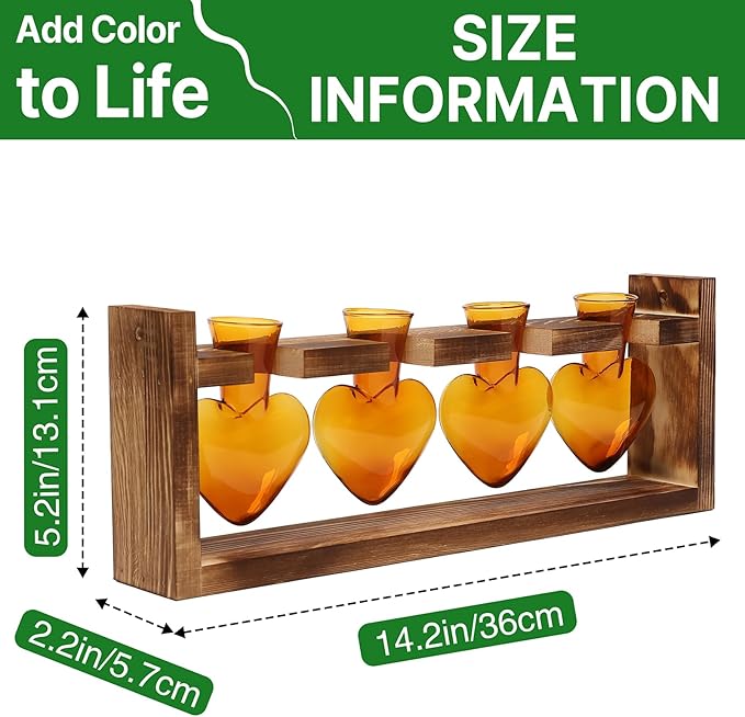 Plant Propagation Stations Heart Plant Terrarium Kit Gift for Women Plant Lover Glass Vases