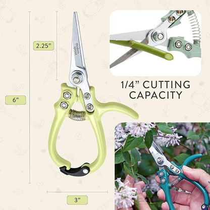 Modern Sprout Pruning Shears - Herb Snipping Scissors- Lightweight Gardening Tools W/Easy Lock - Flower Cutter Garden Shears - Carbon Steel Blade + Reusable Holster (Chartreuse, 1-Pack)