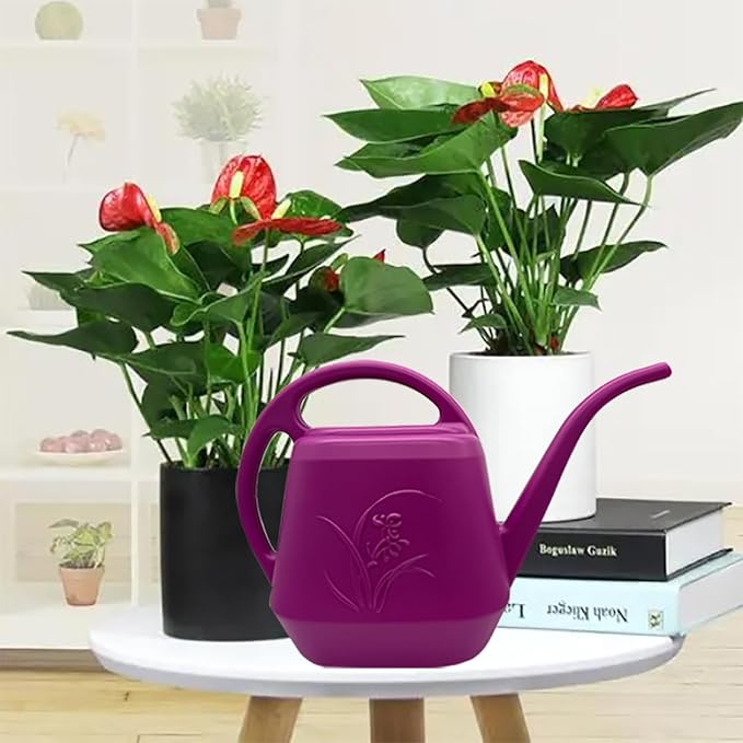 Plant Watering Can - 1 Gallon - Rose Red - with Long Spout for Indoor and Outdoor Home Plant Garden
