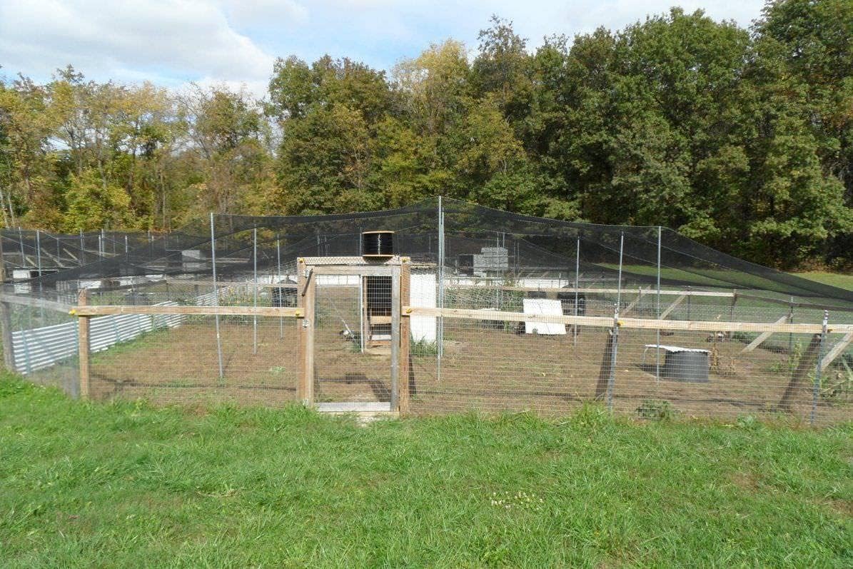 Poultry Netting 1" or 2" Mesh Heavy Knotted Nets Aviary Gamefowl Quail Chicken Bird Block Net Long Lasting Break/Burst 85/245 lb Polyethylene 8-10 Year Lifespan (25' X 25', 2)