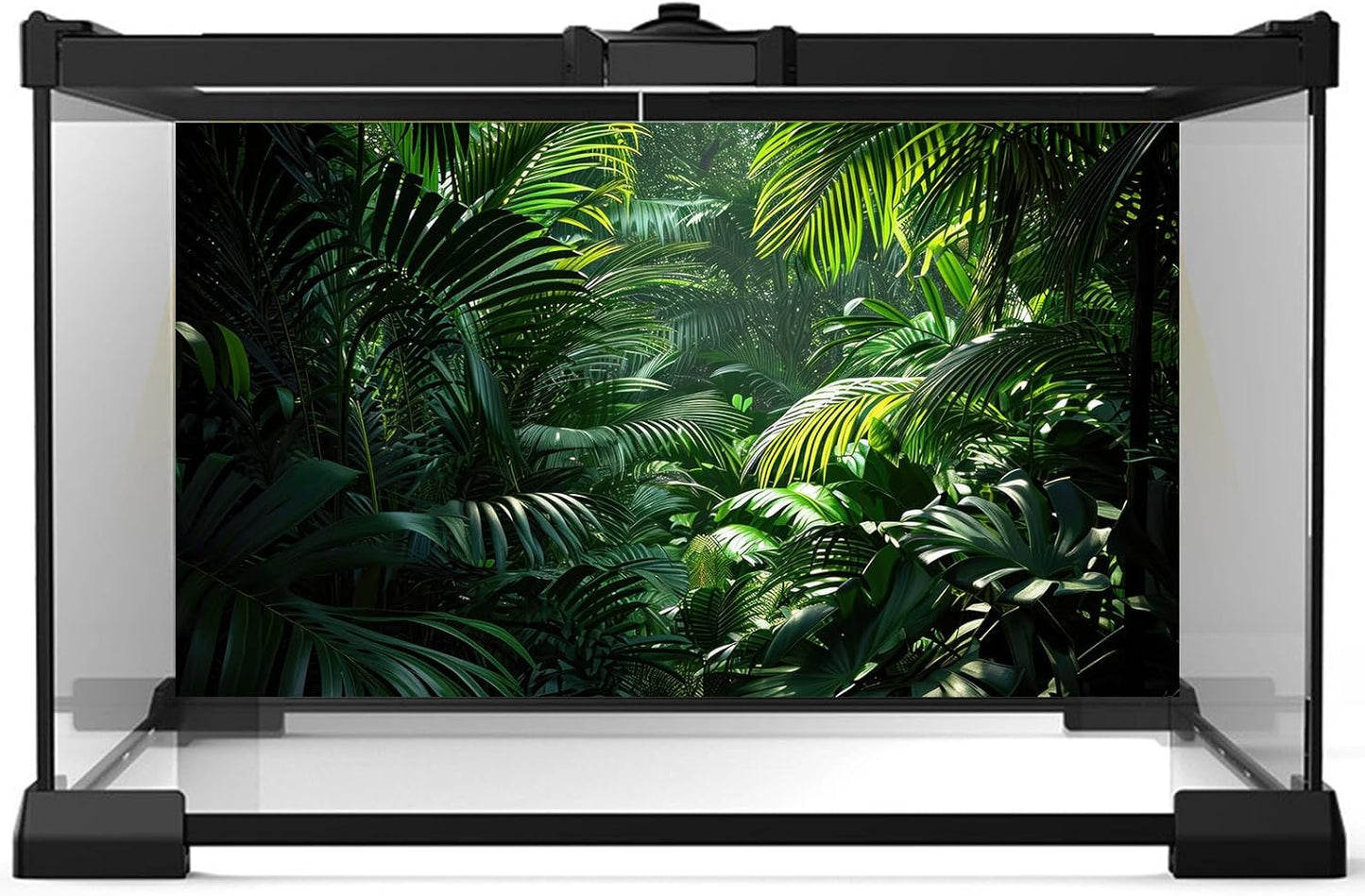 Aquarium Background Enchanting Beauty of Jungle Terrarium Backdrop Nature Jungle Green Leaf Palms Fish Tank Background Reptile Habitat Backdrop Wallpaper Poster Decor Vinyl 72x18in