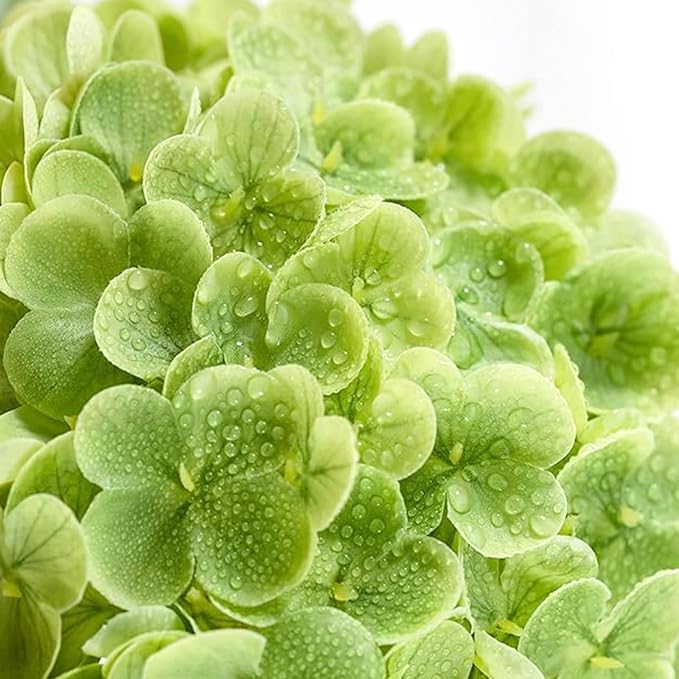 3 Pcs Green Hydrangea Artificial Flowers, 19 inch Faux Hydrangeas Real TouchFlowers, Long Stem Artificial Flowers for Tall Vase Home Wedding Bouquets Centerpieces Party Living Room Decoration