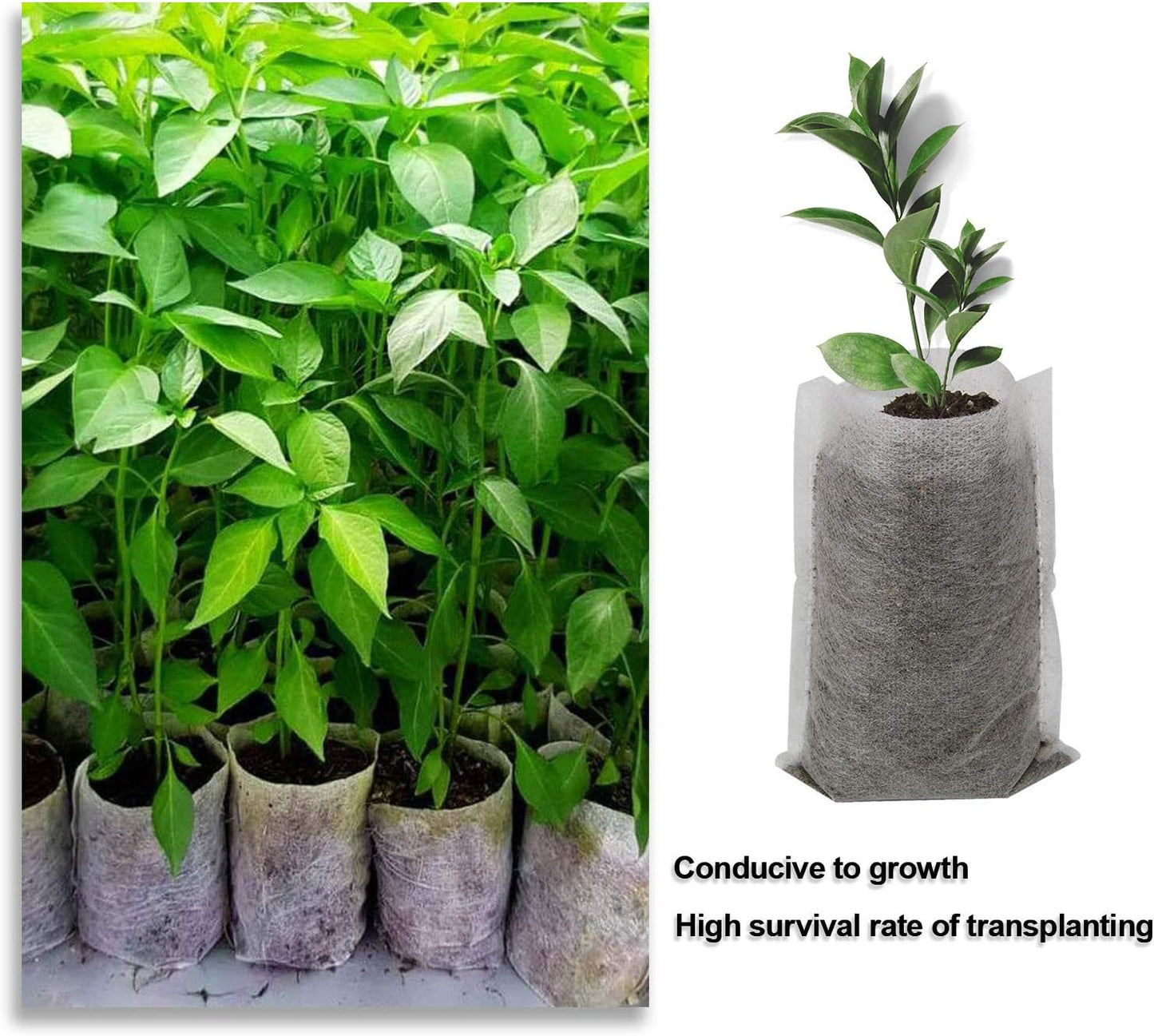 Augshy Nursery Growing Bags - 400pcs Fabric Plant Pots, Non-Woven Grow Bags for Seeding, Starter Seedling Plants, Home Garden, Outdoor, Greenhouse