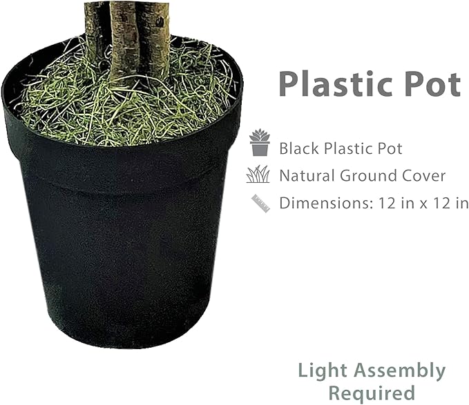 6ft Deluxe Artificial Ficus Tree in Black Plastic Pot - Real Wood Trunk, Preassembled, No Maintenance Indoor Faux Plant - Living Room, Home & Office Decor
