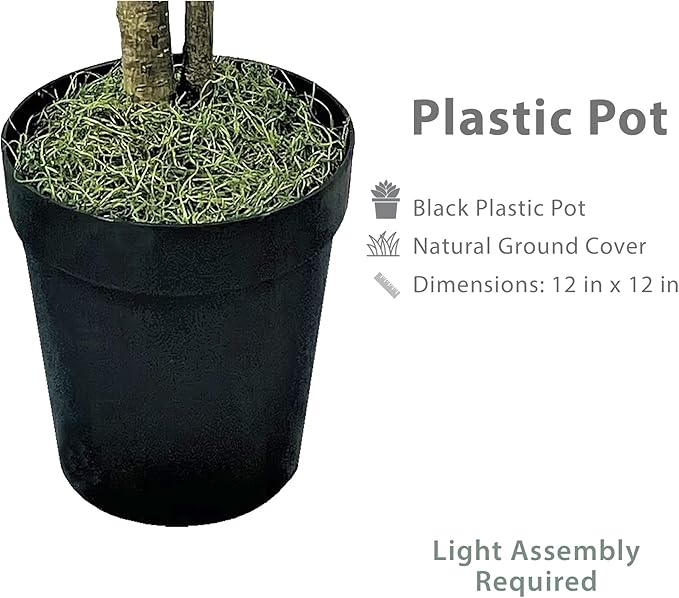 6ft Artificial Ficus Tree in Black Plastic Pot - Real Wood Trunk, Preassembled, No Maintenance Indoor Faux Plant - Living Room, Home & Office Decor