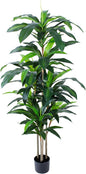 5 FT Dracaena Tree Artificial, Fake Tree with Plastic Pot, Faux Tropical Yucca Floor Plant Lifelike Foliage and Branches, Artificial Plants Indoor for Home Office Living Room Decor Indoor