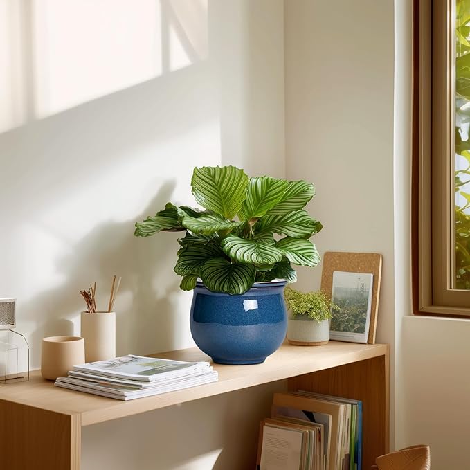 African Violet Pots, 6 Inch Ceramic Easy Self Watering Pots for Indoor Plant, Round Self Watering Planter with Absorbent Inner Pot, Ceramic Flower Pot, Room Decor, Plant Lover Gift, Retro Blue