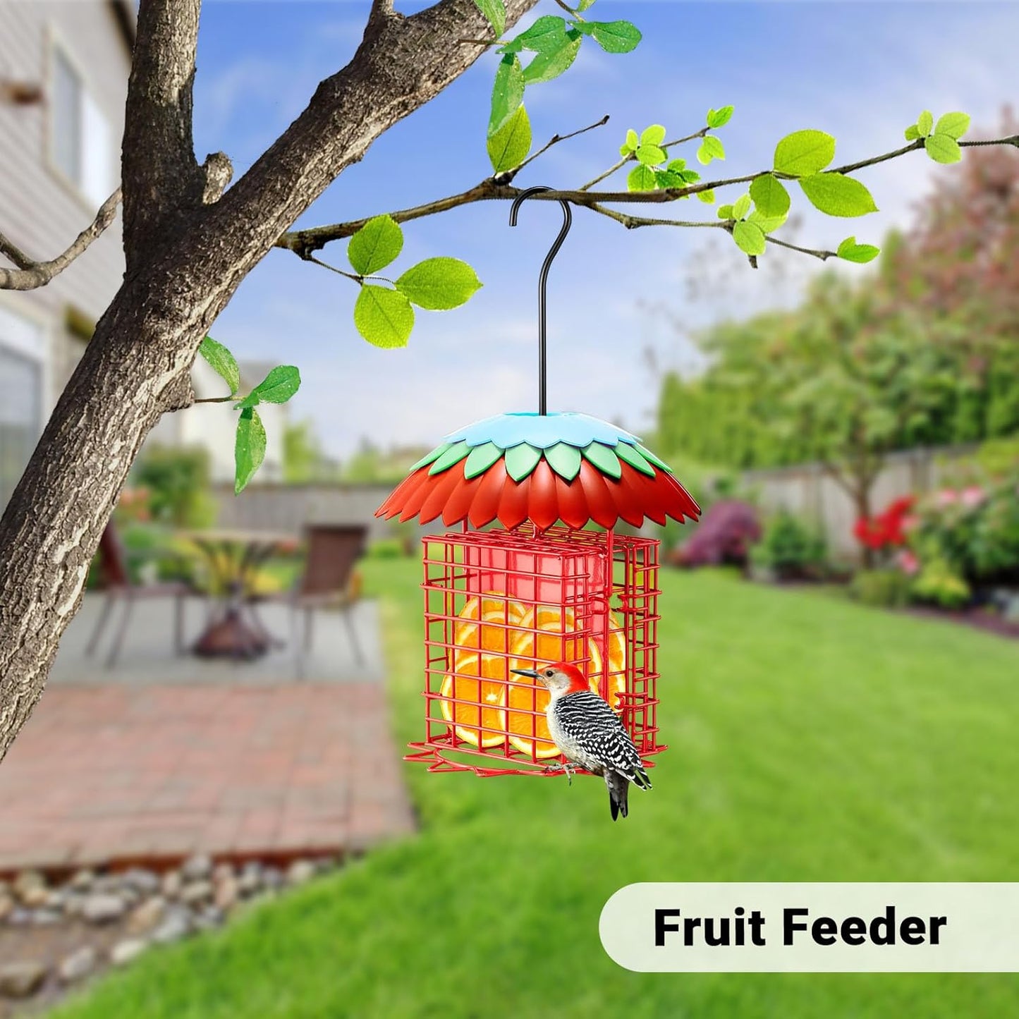 Suet Feeder Double with Weather Guard & Ant Moat, Skaithee Bird Feeders for Outdoors Hanging with 2 Holders Keep Cakes Clean & Fresh Attracts Wild Birds Great for Woodpecker & Clinging Birds, Red
