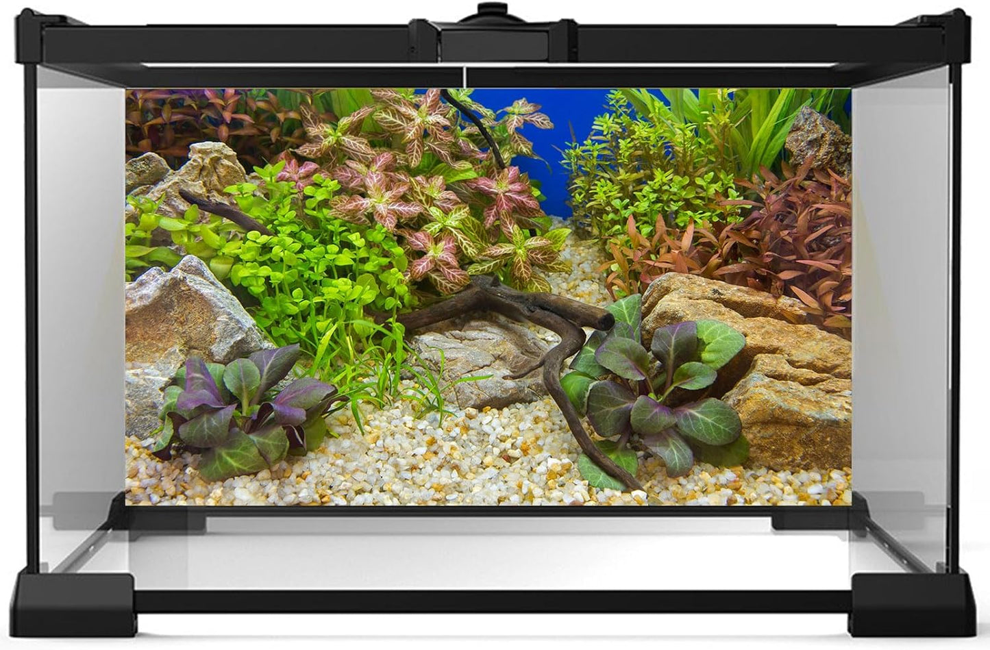 Aquarium Background Various Underwater Grass Plants Pebble Aquarium Backdrop Vivid and Fresh Green Aquatic Plants Stone River Bed and Dead Wood Purple Leaves Tank Background Vinyl 24x16in