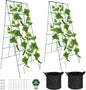 Foldable Cucumber Trellis, 46" L x 18" W A-Frame 2 Pack Cucumber Trellis for Raised Bed Garden Vegetable Grow Supports, Steel Trellis with Twist Ties & Plant Bags for Climbing Plants Outdoor