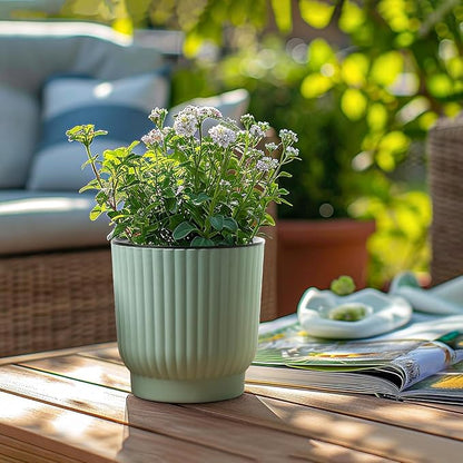 T4U 4.5 Inch Plant Pots Self Watering, 6 Pack African Violet Pots, Small Plant Pots for Plants, Small Indoor Plant Pot, Self Watering Planter for African Violet, Succulents (6 Pack 4.5" Pots, Green)