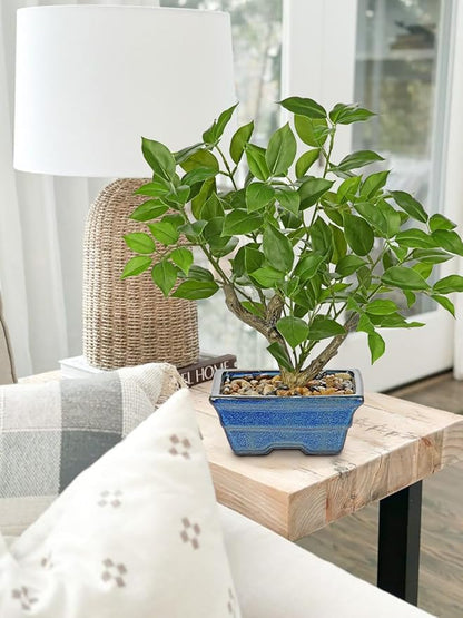 Fake Plants Small Artificial Plants Indoor 15.3" Fake Potted Plants Realistic Faux House Topiary Plants with Blue Ceramic Pot for Home Office Bathroom Kitchen Farmhouse Table Centerpieces Shelf Decor