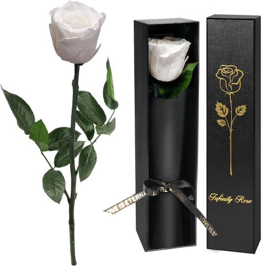 Yamonic Preserved Flowers Rose Gifts for Delivery Prime, Mothers Day Rose Flowers Gifts for Mom, Single Real Flower Birthday Gifts for Her, Women, Grandma, Wife,Girlfriend Gifts for Anniversary(White)